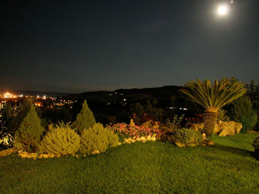 فيرمو Villarondanella المظهر الخارجي الصورة