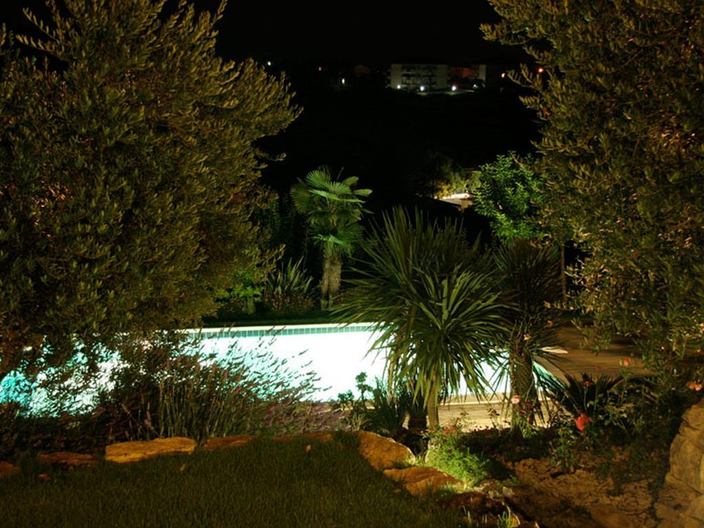 فيرمو Villarondanella المظهر الخارجي الصورة
