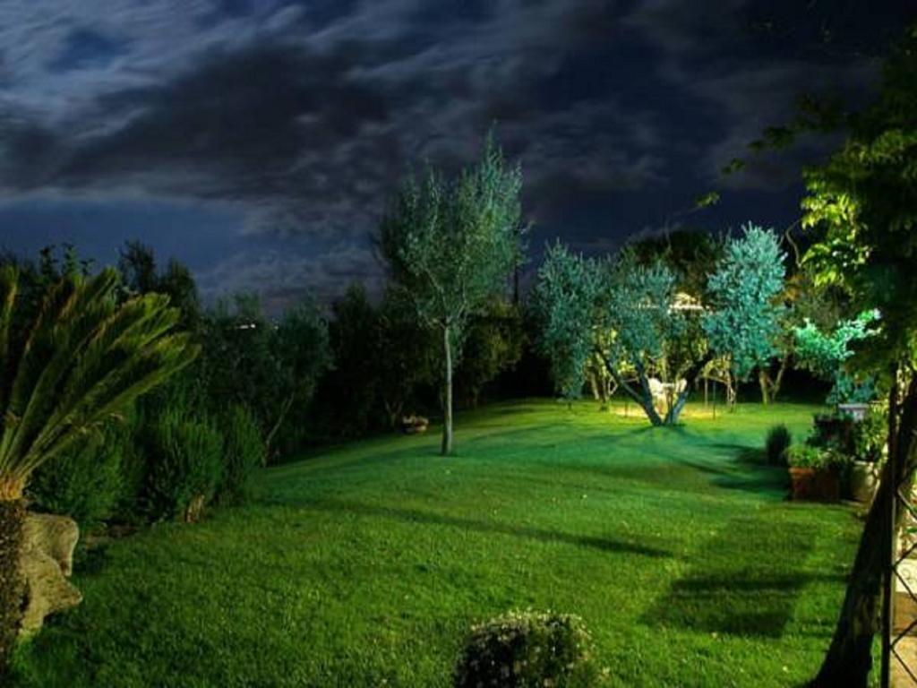 فيرمو Villarondanella المظهر الخارجي الصورة